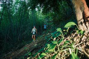 BIB: 
                            <button type="button" onclick="openModal(28123988)" class="btn btn-primary btn-sm float-right btn-popup" data-toggle="modal" data-target=".modal-high-quality">
                        <i class="fas fa-shopping-cart"></i> Add to Cart
                    </button>
                                            <button type="button" onclick="isThisMe(28123988, true)" class="btn btn-success btn-sm float-right btn-popup btn-isme hidden" data-toggle="tooltip" data-placement="bottom" title="นี่คือรูปของคุณใช่ไหม คลิกที่นี่เพื่อเอาเข้าอัลบั้ม">
                        <i class="fas fa-plus"></i> Add to album
                    </button>
                    <button type="button" onclick="isThisMe(28123988, false)" class="btn btn-warning btn-sm float-right btn-popup btn-isnotme hidden">
                        <i class="fas fa-ban"></i> Remove from album
                    </button>